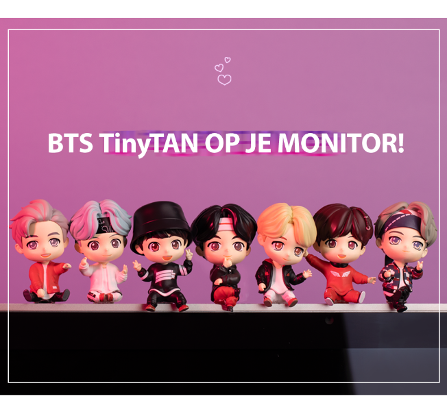 BTS TinyTAN Magic door JUNGKOOK Monitorfiguur