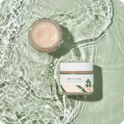 [ROUND LAB] Mugwort Calming Cream