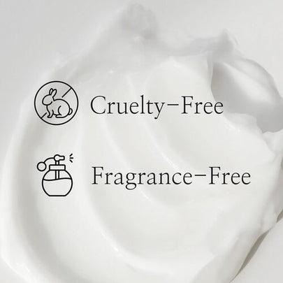 [Beauty of Joseon] Dynasty Cream 50ml